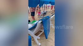 Beachgoers shocked to find wild snake slithering on sun lounger in Thailand
