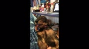 temp