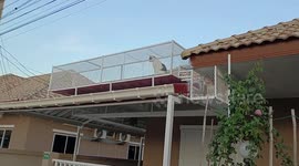 Pampered pet cats have own skywalk built around their house