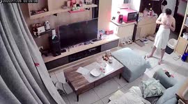 Pet cat leaps between owner's legs after mistaking his manhood for a TOY