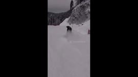 Angry bull ran out onto the ski slope and arranged a corrida with skier