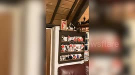 Rugby fan is selling signed set of 1,000 handcrafted wooden models of the game's top players valued at £20k