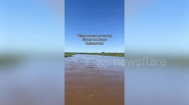 Woman left incredulous after day trip to Kruger National Park resulted in just ONE animal sighting