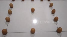 Man balances 15 eggs upright on kitchen floor in folk tradition