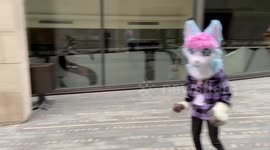 Furries stage another London Furs meet up