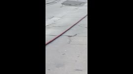 Sherman pl spontaneous Vehicle combustion in residential street on Sherman Street