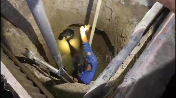 Hero firefighters evacuate lucky cat from a well in Padang, Indonesia