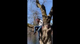 My mom decided it would be fun to climb a tree, as she was trying to get down, she fell out and face planted in the mud