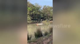 Student and teacher falls into river when youngster slips off rope at obstacle course