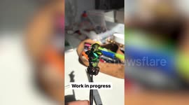 Artist creates intricate sculptures using of dozens of body parts from dead insects with each costing more than £400