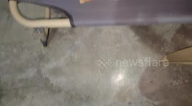 Funny position of a sleeping dog