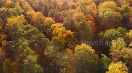 a beautiful sunset over an english woodland located in norfolk thetford