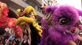 Chinese New Year festivity in Sao Paulo, Brazil