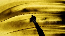 International Artist sculptor paid tribute to famous vocalist Lata Mangeskar through sand animation