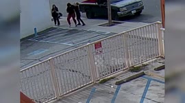 Maltipoo Puppy Reunited With Family After Violent Mugging By Young Woman In Bell Gardens, CA, USA