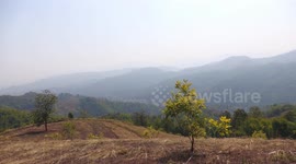 Thailand's northernmost province produces tea and fruit instead of opium