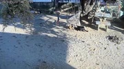 temp