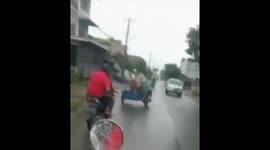 A pig riding in a cage fell after they tried to turn on the road