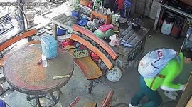 Terrified mother cheats death when she steps on wild COBRA lurking outside her front door