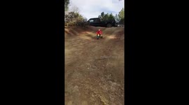 Kid eats dirt and mastiff bites someone in the rear