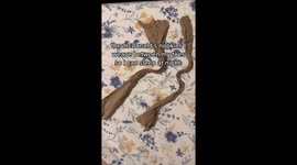 Nursing assistant reveals bizarre hack for sleeping better at night and all you need is a NAPKIN