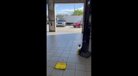 Customer brought us his car saying he heard meowing. After a brief search we found a kitten.