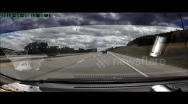 WTF Moment: Deer Runs into Oncoming Car On Motorway