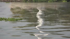Mesmerizing ripples on a busy river in Ayutthaya Thailand at sunset.