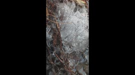 Choose to step in Bhutan 