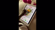 temp