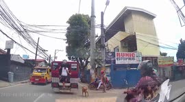 Loyal pet dog chases van to reunite with owner