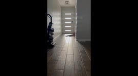 Baby girl chooses logic over emotions while responding to dad's cry for help *HILARIOUS!*