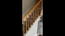 Fun-loving aunt and toddler have a gigglingly fun time while riding down stairs
