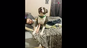 temp