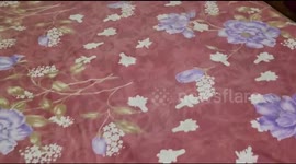 cute cat hiding under the blanket in bed and looking at the camera in India