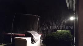 Hail lashes Arizona's Phoenix on Valentine's Day