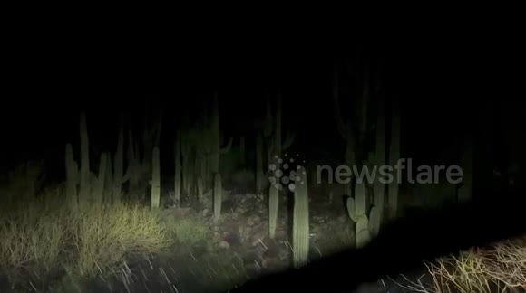 Rare thundersnow in the Sonoran Desert near Phoenix, Arizona