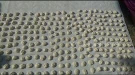 Vadi recipe it is a very tasty and easy recipe  Vadi Recipe In Odia .This is special dry food made in Odisha