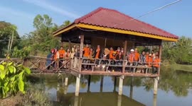 Day trip terror! Wooden bridge COLLAPSES while tourists pose for picture