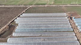 Farmers Transplant Pepper Seedlings At Shuguang Family Farm in Suqian, China