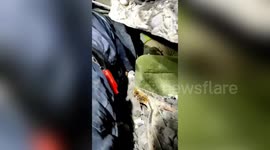 77-Year-old woman rescued after 212 Hours in Adiyaman, Turkey