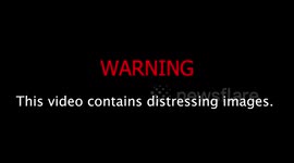 Police launch investigation after footage emerges showing saboteur being trampled to ground by horse during hunt