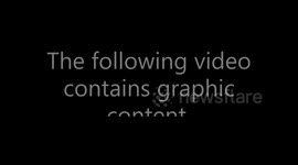 Black Hawk helicopter crash caught on Ring camera in Alabama