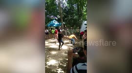 Blindfolded villagers race to catch pig during festival