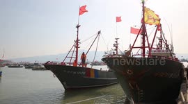 Fishermen Sort Octopus In Lianyungang, China