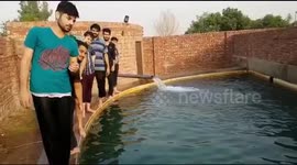 When you find a hot day and you dont know how to overcome this hot weather then you find pool to overcome this hot weather