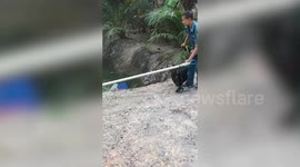 Deadly banded krait snake caught hiding in canal next to homes