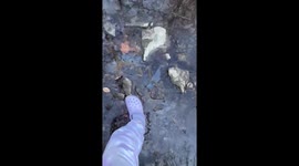 Norfolk southern train derailment left chemicals spilling down local creeks in east Palestine ohio.