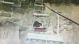 Man falls off chairlift into tiger enclosure and is rescued by zoo workers
