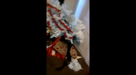 Christmas tree has fallen and needs help